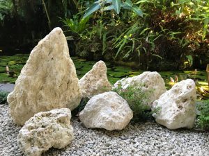 琉球石灰岩原石の坪庭