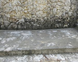 水の浸透によりカビが付着し本来の美観を損なった琉球石灰岩