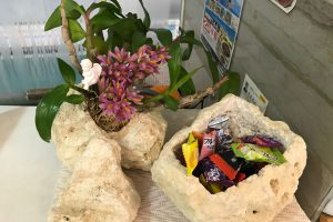 琉球石灰岩とミニ胡蝶蘭（響）