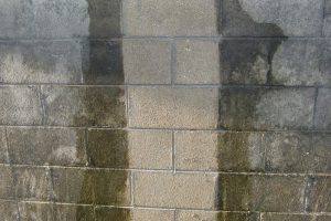 コンクリートブロック塀のカビ