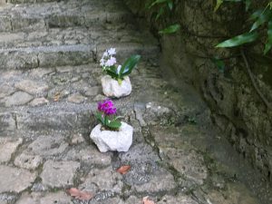 白い琉球石灰岩と花　首里城石畳にあったらいいね！