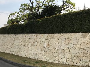 琉球石灰岩外壁の美観の復元（築40年）前