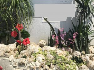 琉球石灰岩と花をモチーフした石庭