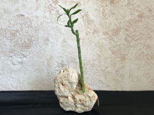 琉球石灰岩アレンジメント　贈答品人気の竹　