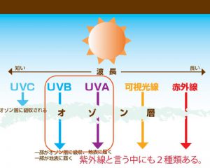 紫外線カットコーティングが効果的です。