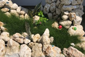 琉球石灰岩と洋芝を演出の石庭