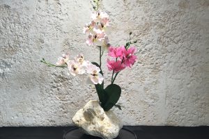 琉球石灰岩アレンジメント作品蘭花