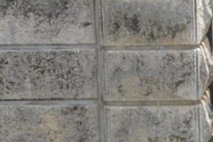 琉球石灰岩３年でカビ発生